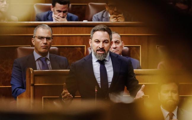 El presidente de Vox, Santiago Abascal, interviene durante una sesión plenaria en el Congreso de los Diputados El presidente de Vox, Santiago Abascal, interviene durante una sesión plenaria en el Congreso de los Diputados