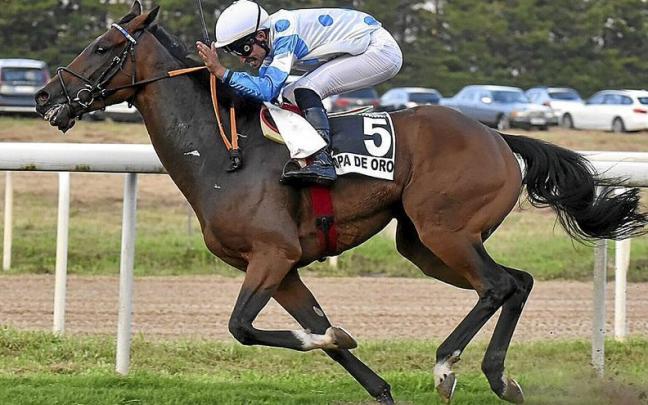 ‘Il Decamerone’ se proclamó vencedor de la Copa de Oro. | FOTOS: ARNAITZ RUBIO