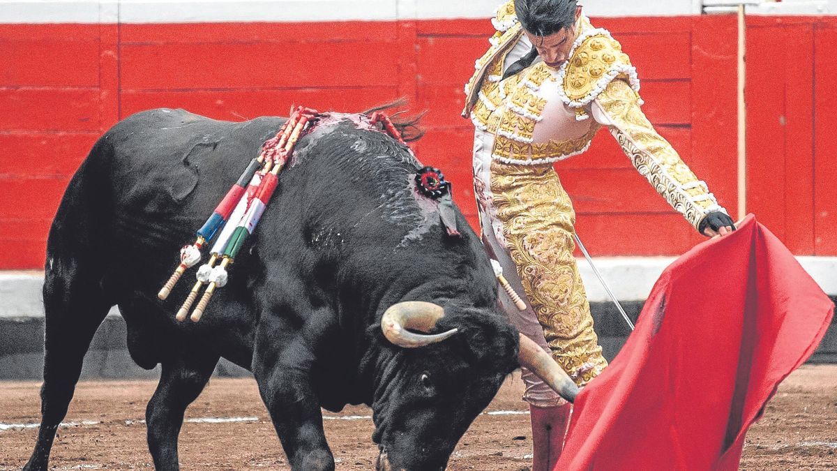 Uno de los muletazos con la izquierda de Talavante que llegaron con fuerza a Vista Alegre.