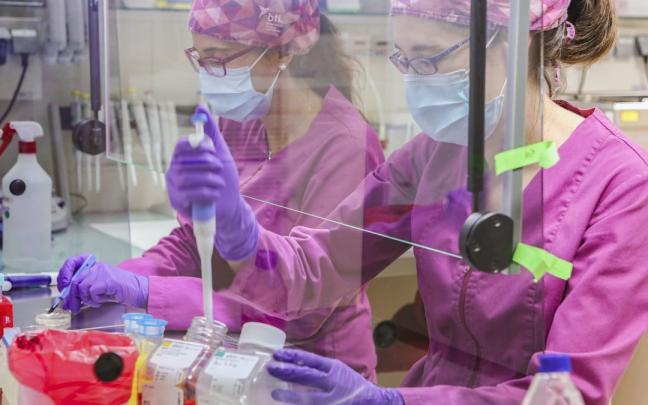 Trabajo en el laboratorio de BTI. Trabajo en el laboratorio de BTI.