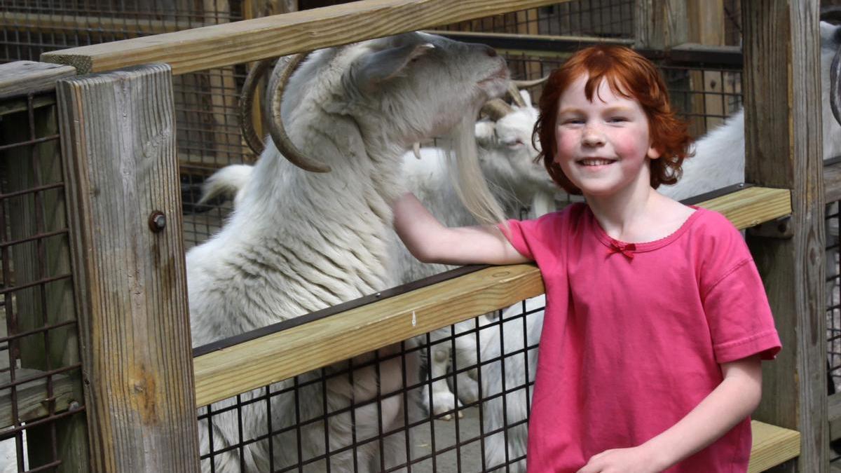 Catherine Violet Hubbard, una de las niñas asesinadas en Sandy Hook.