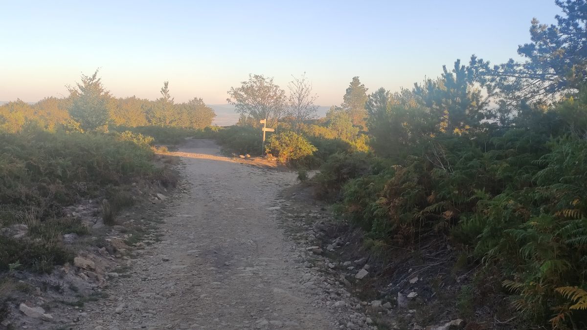 Cruce con camino a Zarate