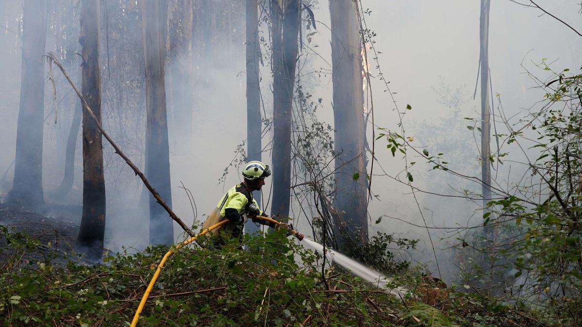 Bomberos trabajan en sofocar el incendio de Berango