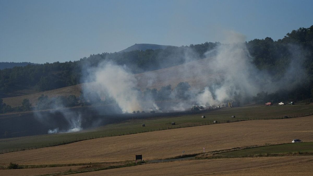 Llamas en un incendio en una zona de cereal.