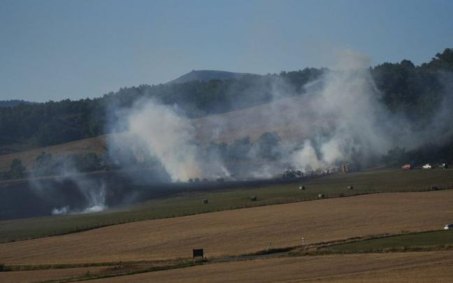 Llamas en un incendio en una zona de cereal.