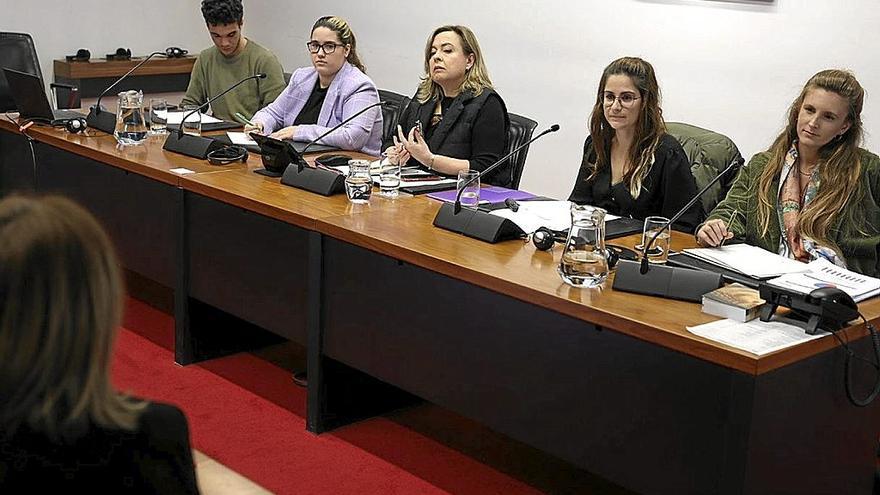 Integrantes de la asociación Haziak, ayer en el Parlamento de Navarra.