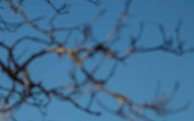 Castillo de Lanos, Ocio, Zambrana