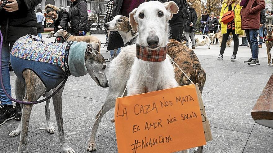 Protesta el pasado domingo en Santander para exigir que se prohíba el uso de perros para la caza. | FOTO: EFE