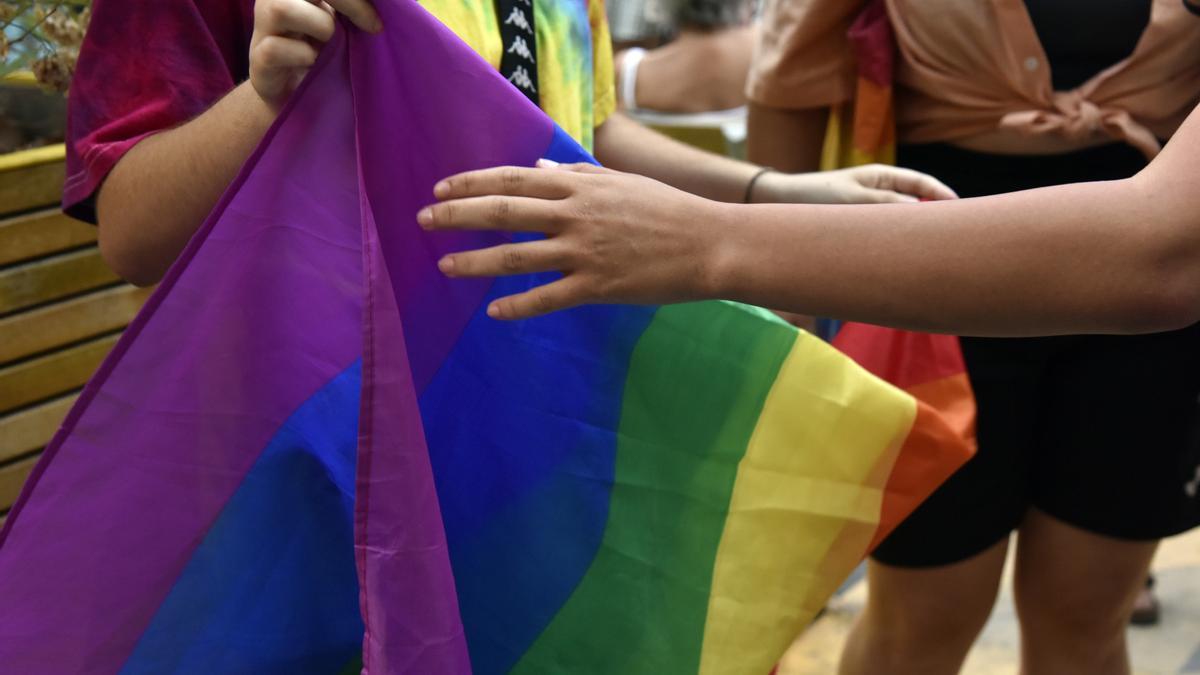 Bandera LGTBI+