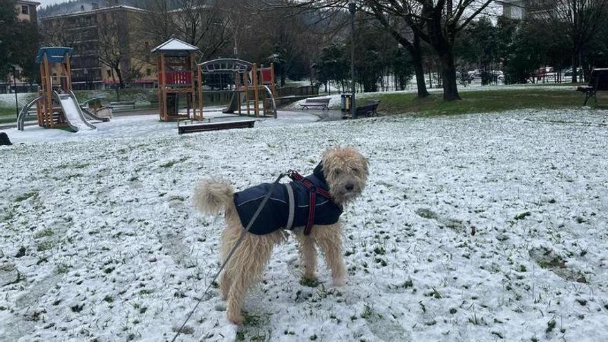 Las estampas que deja la nieve en Bizkaia