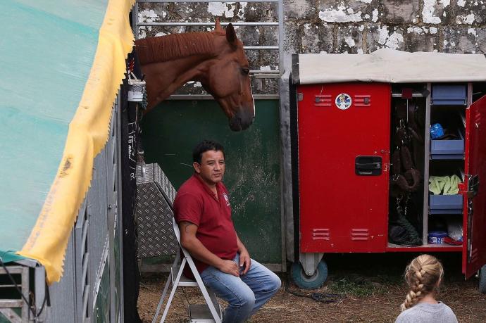 Un caballo asoma la cabeza desde uno de los boxes instalados en la Ciudadela.