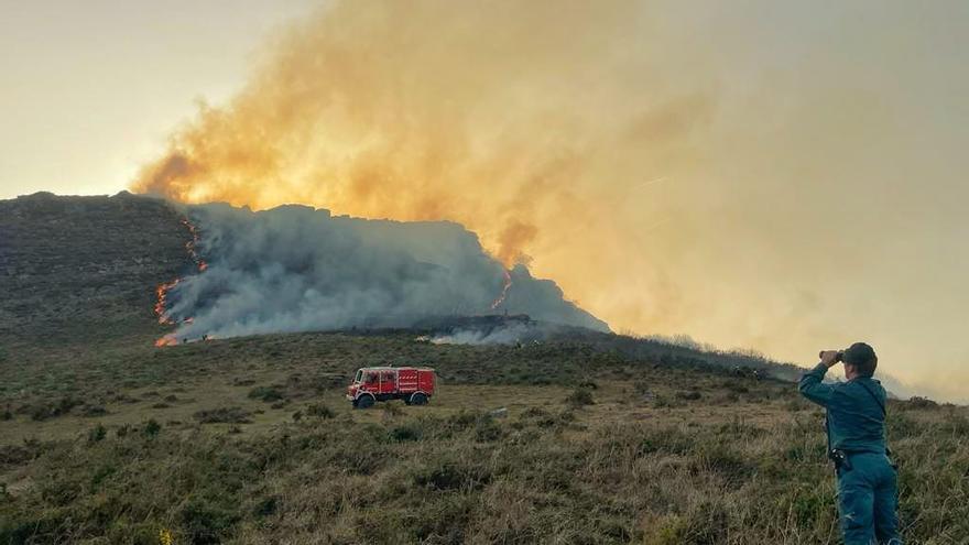 Incendio forestal en Bertizarana.