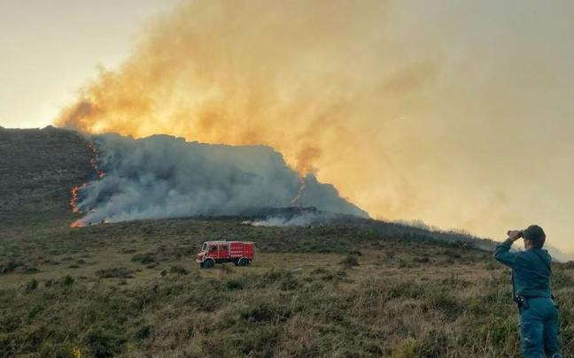 Incendio forestal en Bertizarana.