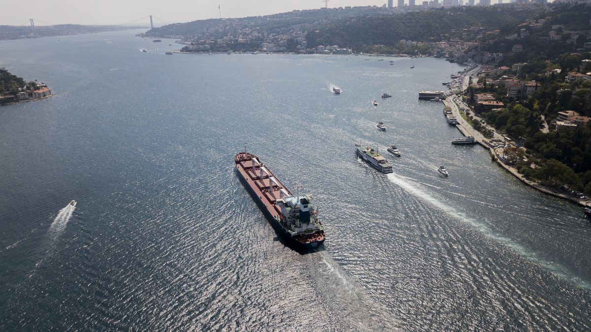 Es la segunda operación a través del corredor establecido bajo supervisión de Turquía y Naciones Unidas, tras la realizada el pasado lunes por el barco Razoni.