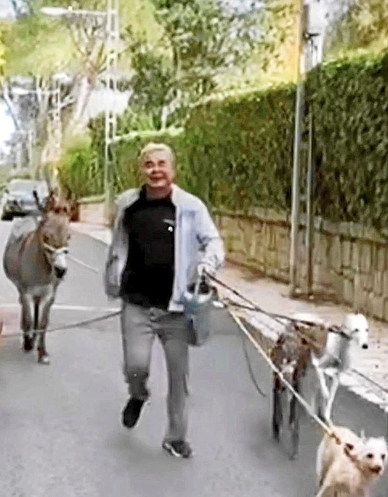 Captura del vídeo en el que se ve a Jorge Javier sacando a pasear a su burro y todos sus perros.