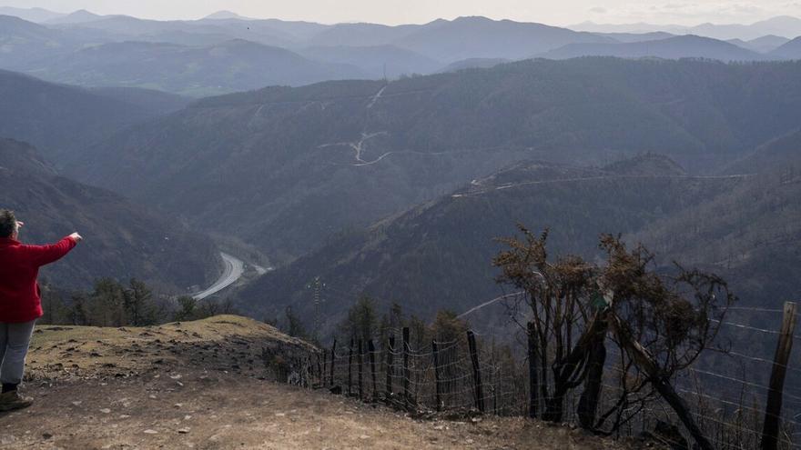 Monte quemado en el gran incendio de 2021 que comenzó en Bera y afectó al Parque Natural de Aiako Harria