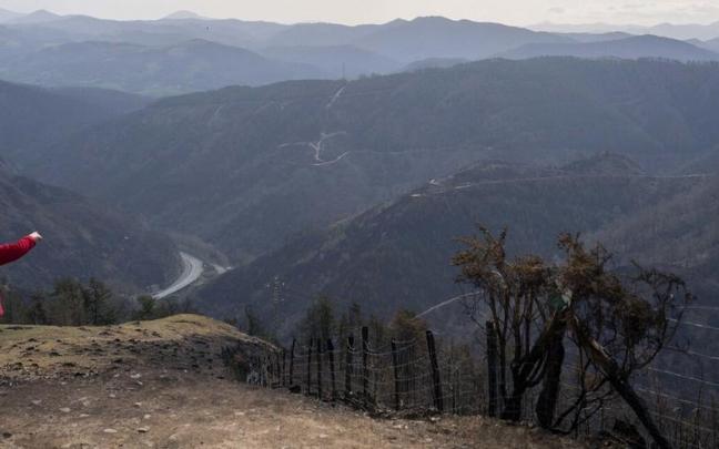 Monte quemado en el gran incendio de 2021 que comenz&oacute; en Bera y afect&oacute; al Parque Natural de Aiako Harria