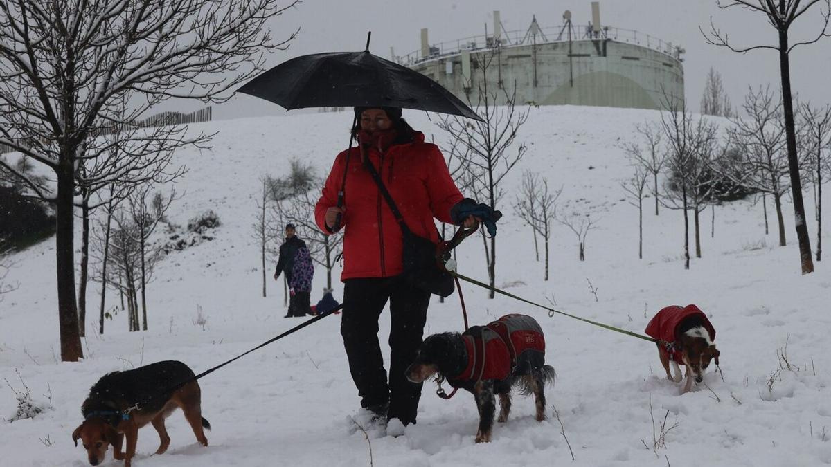 Nieve en la zona de Erripagaña durante la borrasca 'Fien'