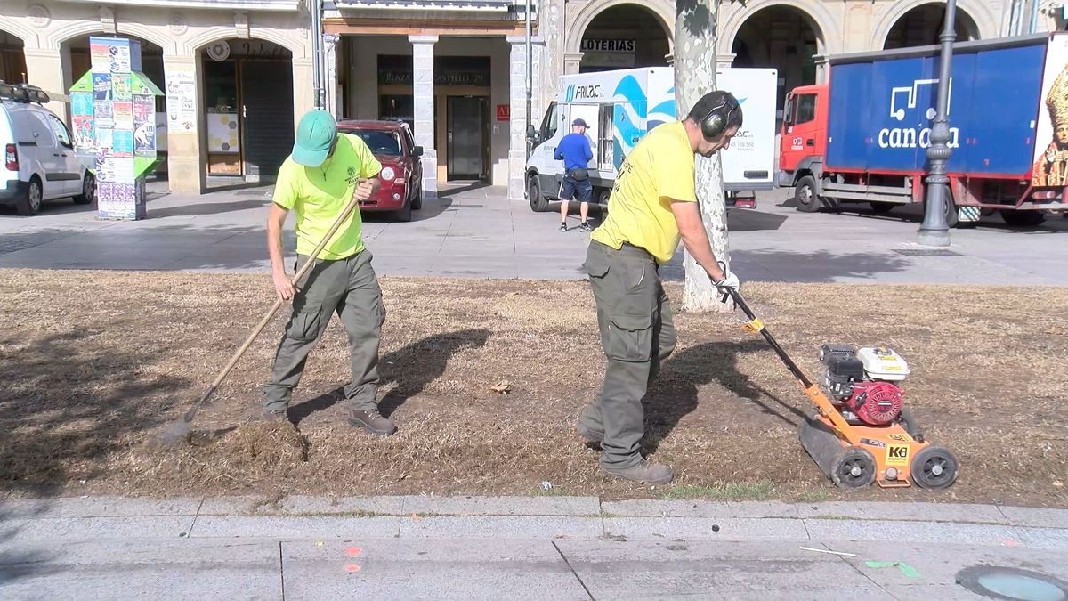 Recuperación de jardines.