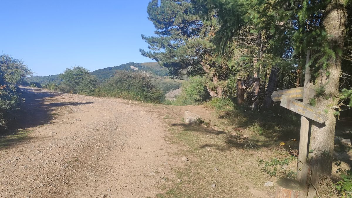 Segundo poste de madera / Cruce con el camino de las canteras