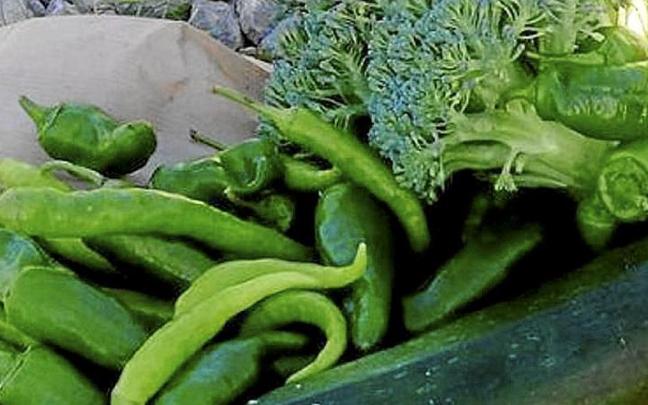 Algunas de las hortalizas de los huertos municipales. | FOTO: UDALA