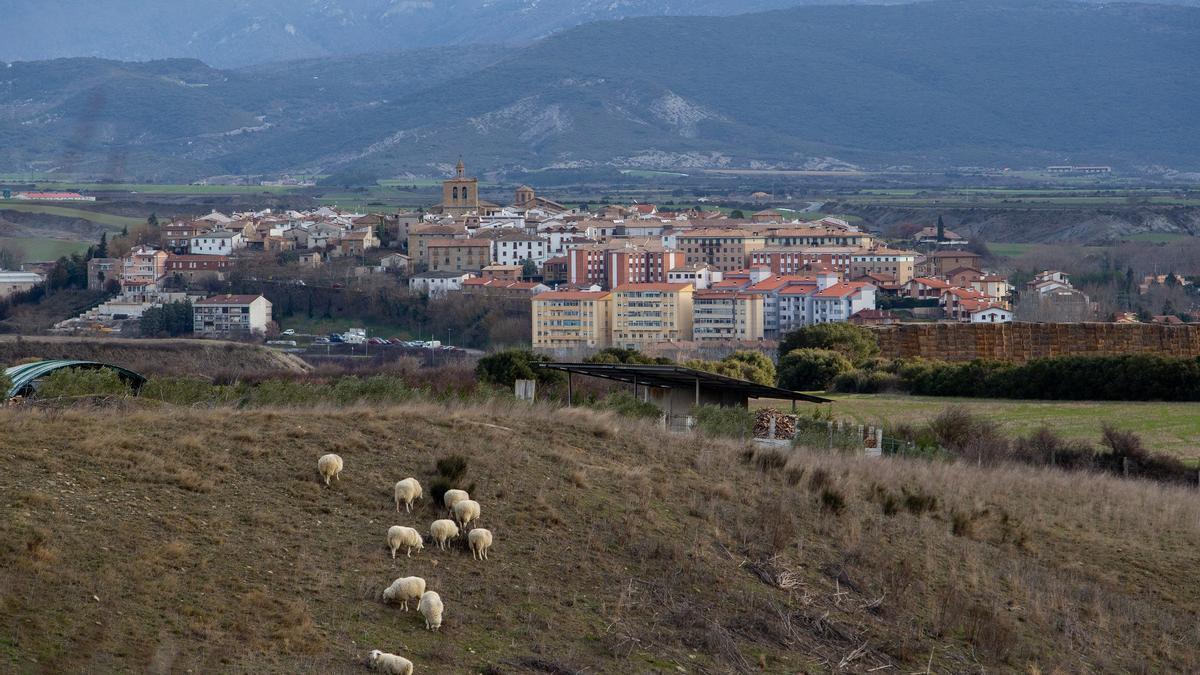 Imagen panorámica de Lumbier.