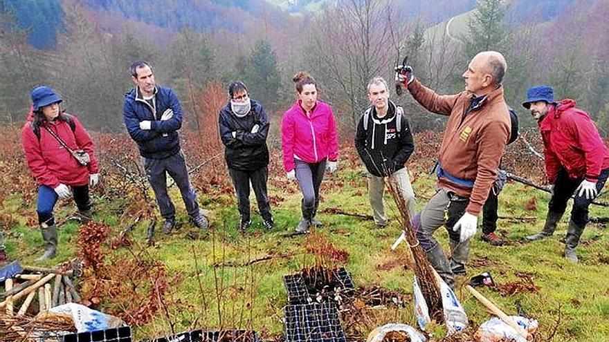 Una pasada edición de la plantación de árboles. | FOTO: S.U.