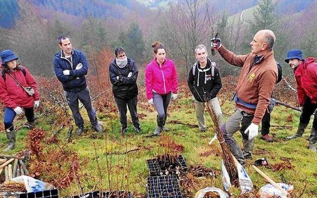 Una pasada edición de la plantación de árboles. | FOTO: S.U. Una pasada edición de la plantación de árboles. | FOTO: S.U.
