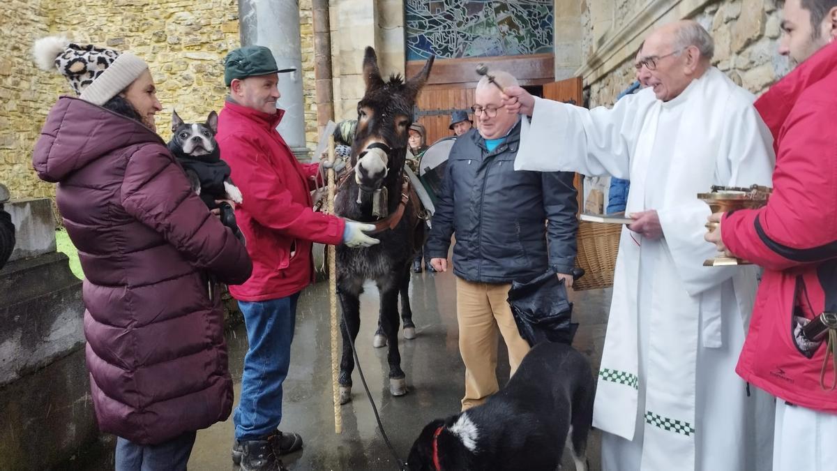 El burro Perico volvió a ser bendecido ayer junto a otros animales en Urkiola.