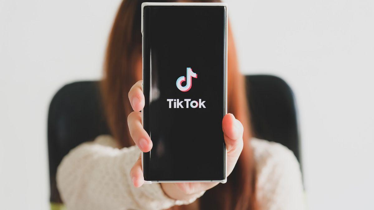 La popular red TikTok no es ajena a los intentos de robo de identidades, ciberestafas o suplantaciones.