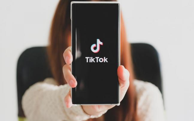 La popular red TikTok no es ajena a los intentos de robo de identidades, ciberestafas o suplantaciones. La popular red TikTok no es ajena a los intentos de robo de identidades, ciberestafas o suplantaciones.