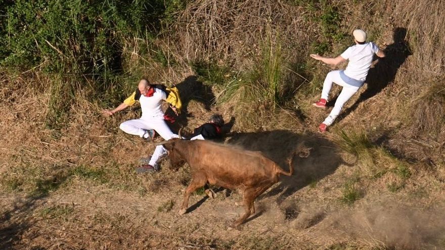 Una de las frenéticas carreras de esta mañana en Falces.