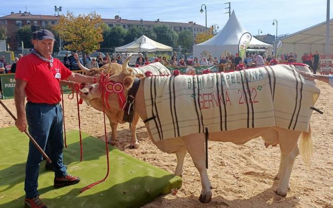 Bikandi, con una de sus reses ganadoras.