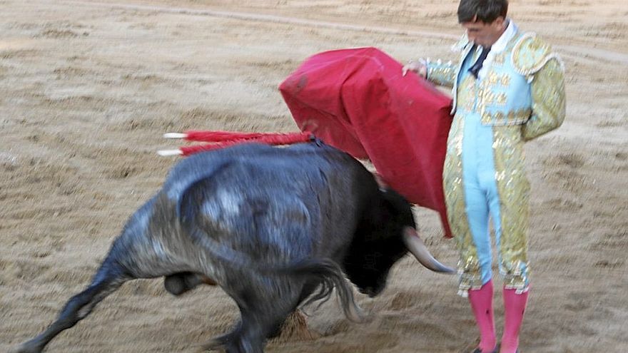 Miguel Serrano, por ‘manoletinas’ ante la brava acometida del cuarto miura, ‘Lumanco’.