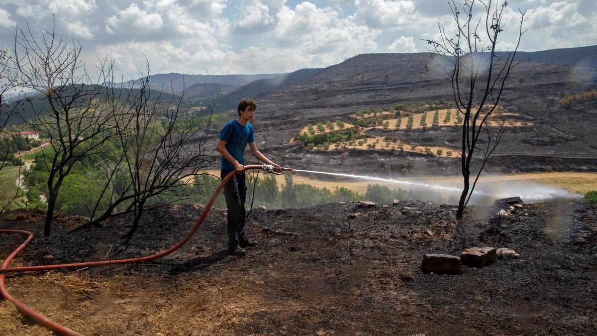 Una de las imágenes que dejó la extinción del gran incendio en los alrededores de San Martin de Unx el pasado mes de junio.