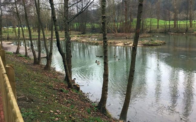 Amorebieta quiere paseos fluviales y m&aacute;s pulm&oacute;n verde.