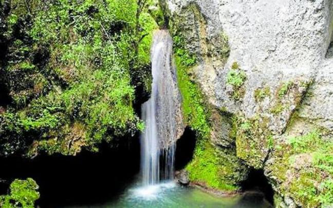 Una de las im&aacute;genes premiadas en una edici&oacute;n anterior.