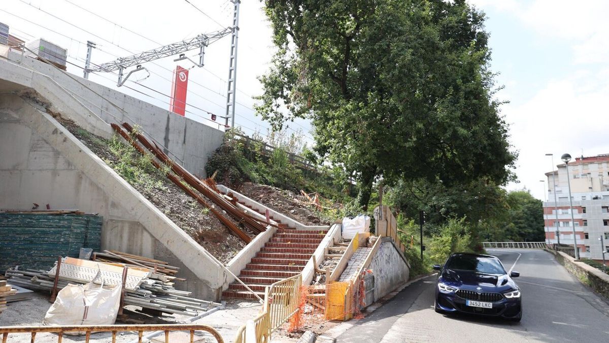 Roble que se mantendrá en en lugar y ha llevado a reformar el proyecto inicial.