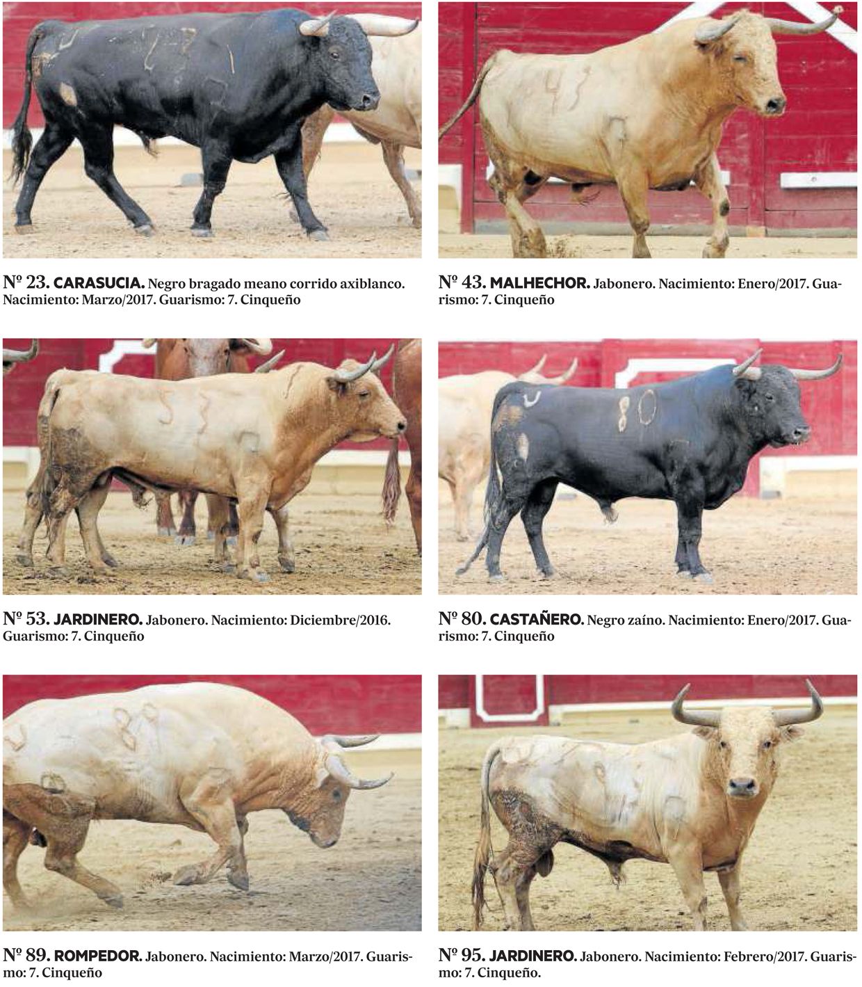 Los toros de este lunes en Tafalla