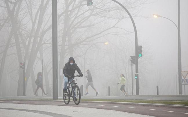 En imágenes: Las heladas congelan Vitoria