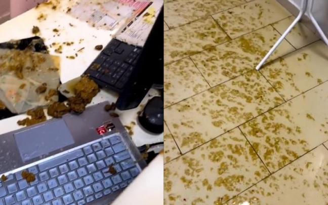 Todo el local se ha quedado lleno de heces. Todo el local se ha quedado lleno de heces.