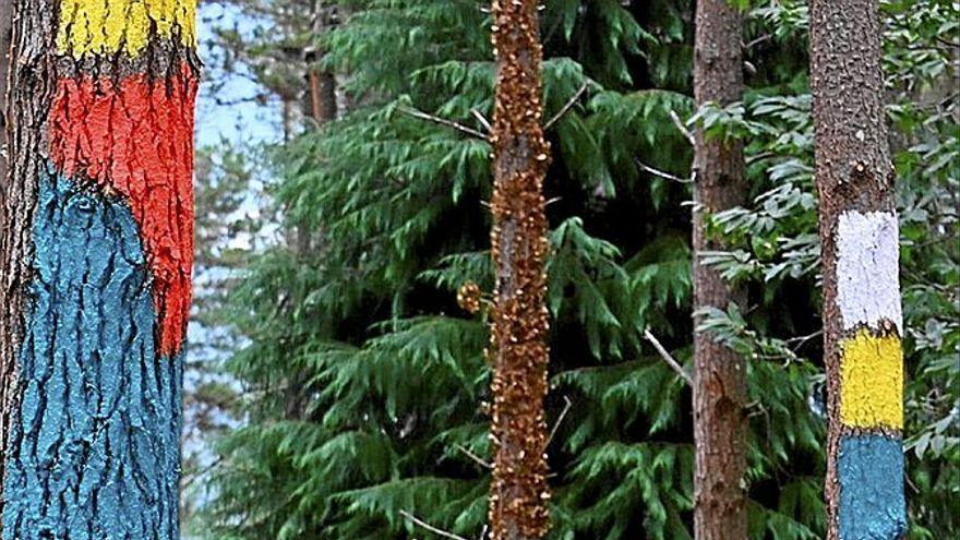 Un momento del proceso artístico desplegado en este nuevo bosque. | FOTO: OSKAR GONZÁLEZ