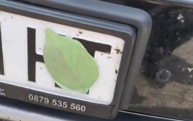 Un imán con forma de hoja tapa parcialmente una matrícula. Un imán con forma de hoja tapa parcialmente una matrícula.