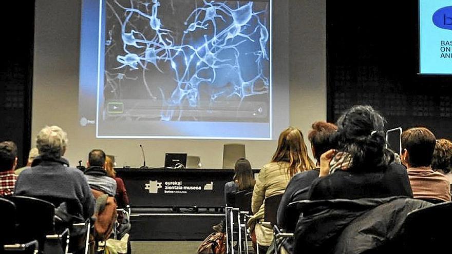 Jornada de la Basque Center on Cognition, Brain and Language. | FOTO: N.G.