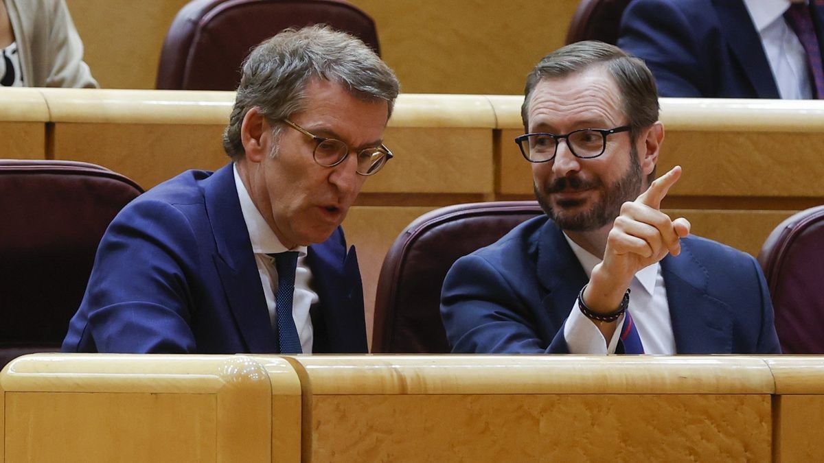 Alberto Núñez Feijóo y Javier Maroto, ayer miércoles en la bancada de la Cámara Alta.