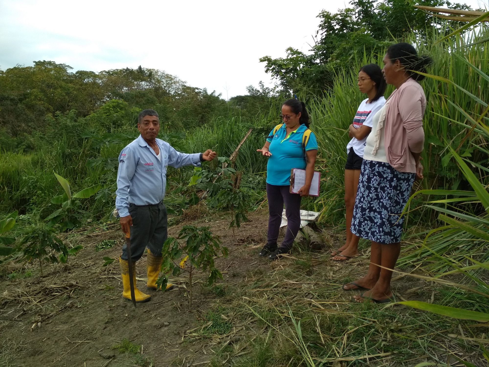 El padre de Gabriel Cheme, alias 'Capricho', muestra los cultivos de su terreno en La Bonilla (Cojimíes)