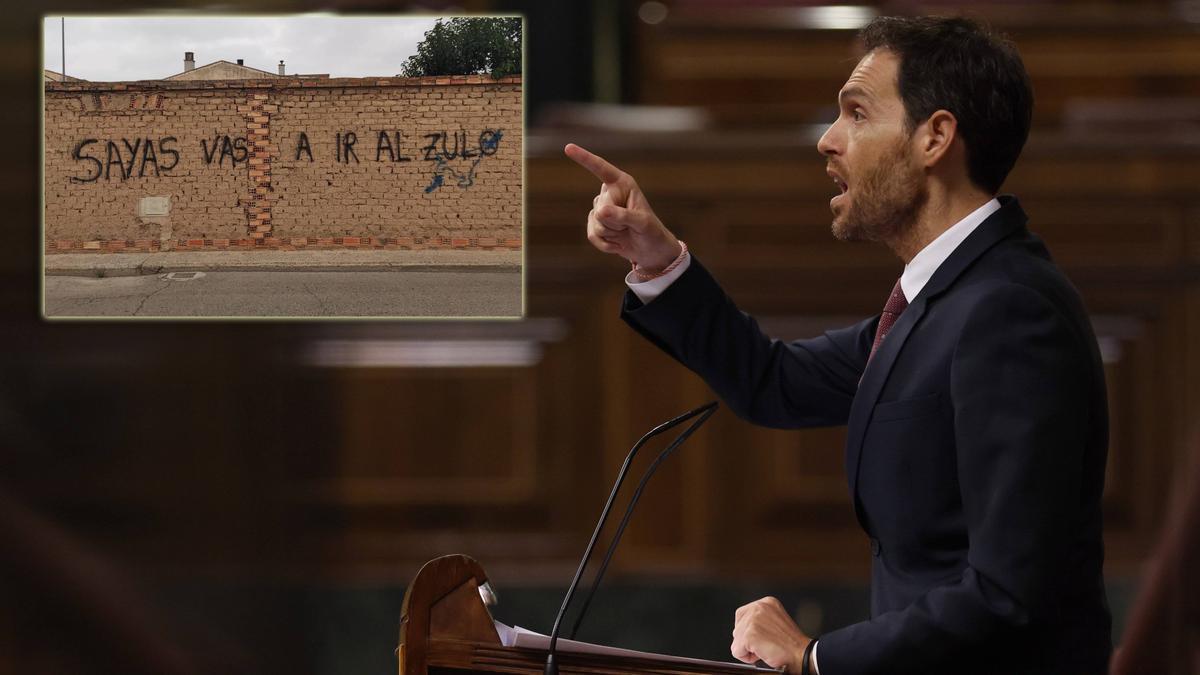 Sayas, en el Congreso de los Diputados.