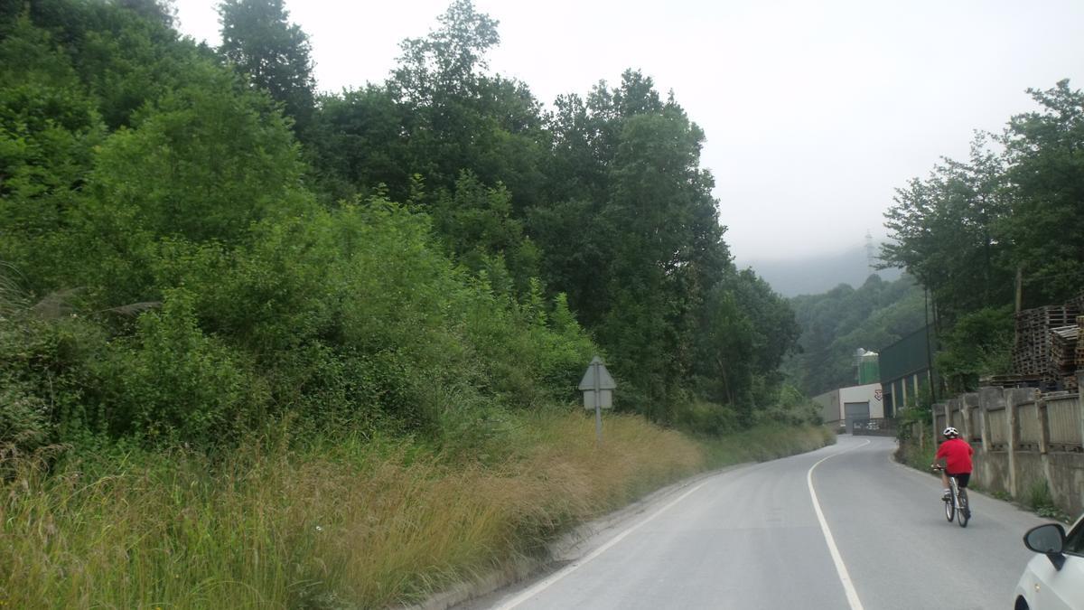 Un ciclista en la carretera de Zaratamo.