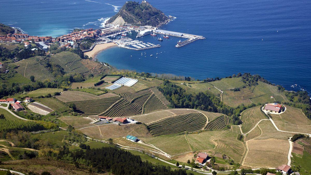 Viñedos y bodegas de txakoli en Getaria