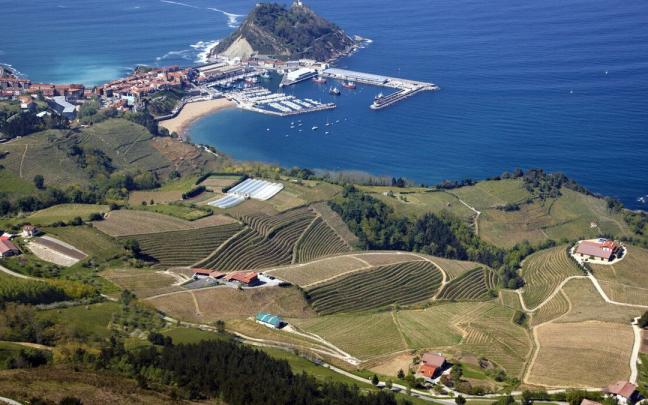 Viñedos y bodegas de txakoli en Getaria